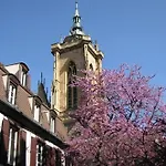 Le Nid De La Cathedrale
